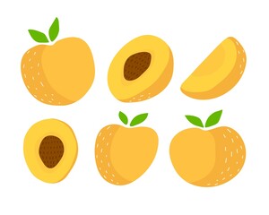 cartoon set of peach. Colorful flat vector illustration. design for prints, posters, cards