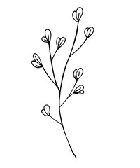 Hand drawn herbs. Minimal floral monograms. Blooming plants and branches with leaves. Row of contour flowers. Black and white decorative elements template. Vector foliage sketch illustration.