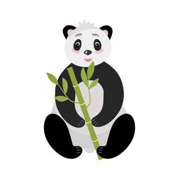 Panda, bamboo bear sitting, cute picture. Vector illustration. For decoration, scrapbooking, printing on fabric or paper.