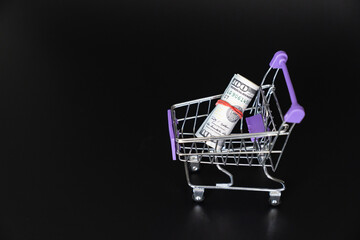 mini food basket with 100 dollars on a black background.