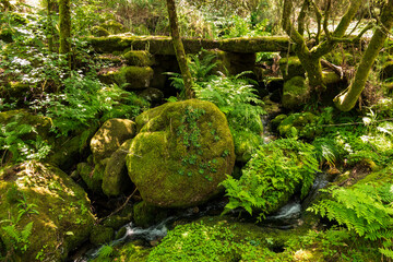 Ancient bridge and moss-covered granite boulders on a forest hiking path, near Lindoso, Peneda-Gerês National Park, Viana do Castelo district, Portugal