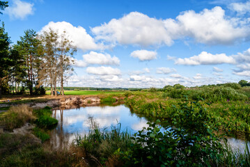 Upalne lato w Dolinie Górnej Narwi, Podlasie, Polska © podlaski49