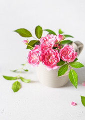 Obraz premium Beautiful bouquet of pink mini roses in a small espresso cup. Still life with summer flowers. Copy space.