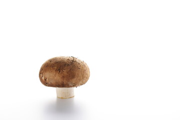 mushroom isolated on white