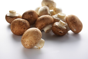 Brown mushrooms on white background