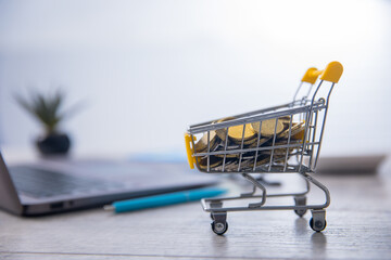 coin in shopping cart with computer