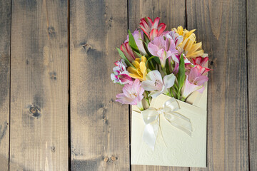 multicolored flowers in envelope with copy space. multicolored alstroemerias, pink, yellow, purple, and red alstroemerias in greeting envelope with bow. concept congratulation or holiday.