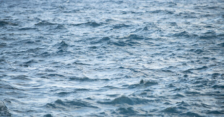 Calm sea water surface texture with splashes and waves. Abstract nature background. Background of aqua ocean water surface.