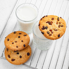 Homemade pastries - round large raisin biscuits. Treats for children, desserts made from natural products.