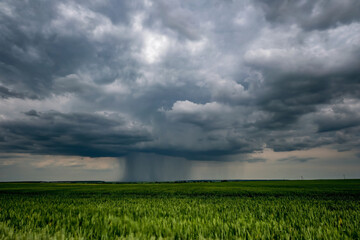 landscape with dark sky with rain clouds before storm. thunderstorm front - obrazy, fototapety, plakaty