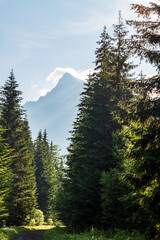 Krivan mountain peak from Koprova dolina valley in Vysoke Tatry mountains in Slovakia © honza28683