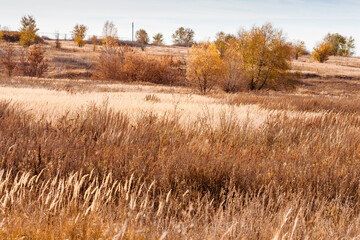 The landscape of a steppe slope near a rural settlement. Selective focus.