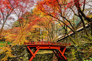 紅葉の横蔵寺