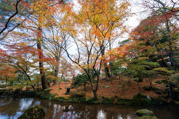 Obraz premium 美しく紅葉した金沢の観光名所・兼六園