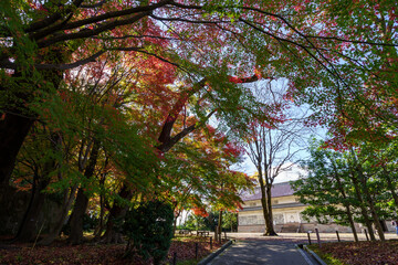 紅葉した金沢城公園