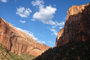 Fototapeta premium Spectacular mountain of Zion national park, Utah, USA