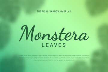 Monstera leaves shadow overlay background illustration vector