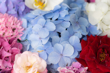 敷き詰められた花