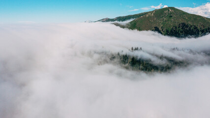 Clouds and forest aerial view