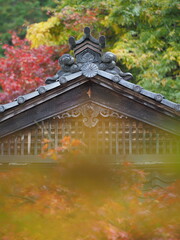 Obraz premium 紅葉とお寺の瓦屋根