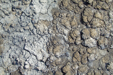 Dried gray brown clay surface covered with cracks. On the left, the clay is gray. On the right, the clay is brown. In the middle there is a transition between colors. Top view, textured, background.