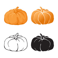 Pumpkin set of isolated icons in various styles. Vector illustration isolated on white background.