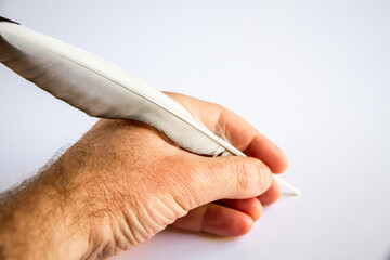 hand writing with a bird feather