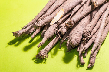 Crop of fresh unpeeled Scorzonera or Spanish salsify
