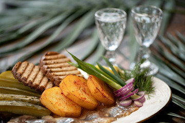 Classic starter to alcohol shot. Platter with snack and two glasses of vodka on blurred background. Grilled bread, baked potatoes, herring, pickled cucumbers and greens on plate. Horizontal format.