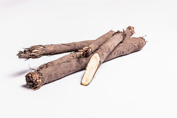 Raw Scorzonera or Spanish salsify isolated on white background