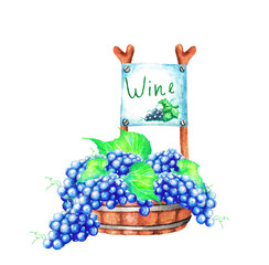 A basin with grapes and a signboard. Watercolor