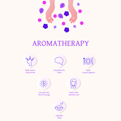 Essential oil infographics. The benefits of aromatherapy. The use and effect of essential oils on the human body.