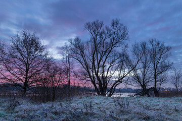 Gent, Belgium - January 13, 2021: Dawn in the Bourgoyen-Ossemeersen nature reserve.