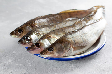Fresh fish ready to cook. Fresh pike perch