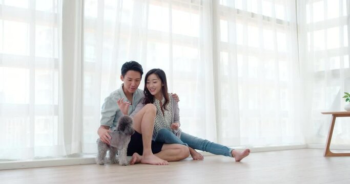 Happy young couple playing with dog in living room,4K