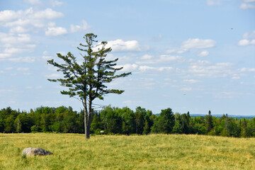 Obraz premium Countryside landscape with farm in Quebec, Canada