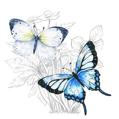 Butterflies and flowers on white background. Watercolor vintage illustration.