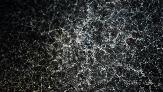 OMG Did you see that? What? Oh never mind, it's gone -&nbsp; an all natural AbstractVideoClip