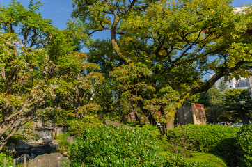 Ein Park in Japan