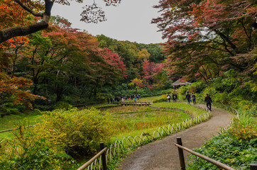Ein Park in Japan