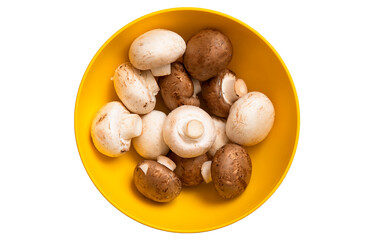 Fresh white and brown whole mushrooms champignon in yellow bowl isolated on white background