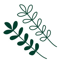Green branches with leaves hand drawn vector  illustration. Flat and outline. 