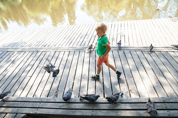 Happy preschooler boy running on wooden walkway near pigeons while playing on lake shore in park in sunny summer day