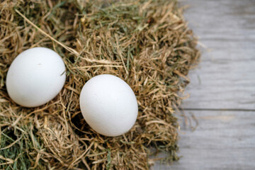 Two white chicken eggs lie in the hay on a blurry wooden background. Selective focus. Space for lettering and design