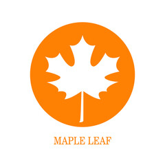 Maple leaf vector logo. Canada vector symbol maple leaf clip art. Eps 10 vector illustration.