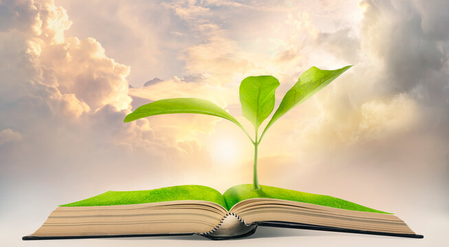 Tree grows up from the book with the dramatic sky background, the concept as opening paper will see knowledge of the world.