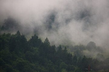 Misty natural scenic view in Romanian Mountains after rain