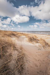 Grassy sand dunes beach