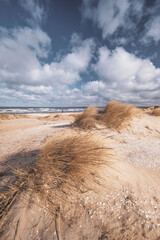 Sand dunes beach