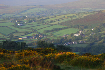 Fototapeta na wymiar Landscape in Devon, UK
